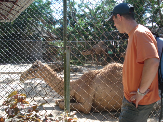 gal/2008 Thailand/DSC01713.JPG